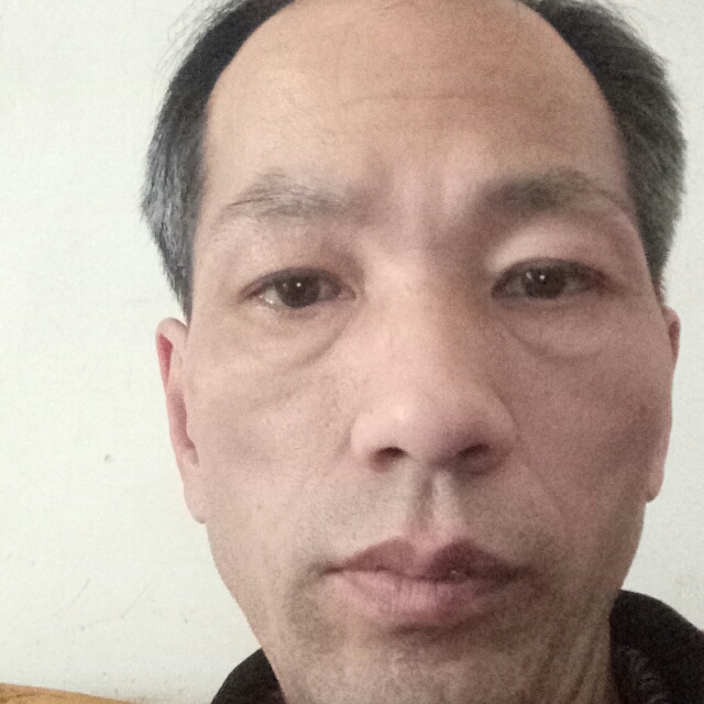 沉默請向日葵的照片