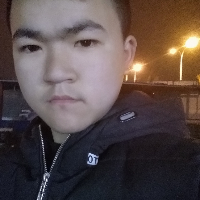 半飞虎的照片