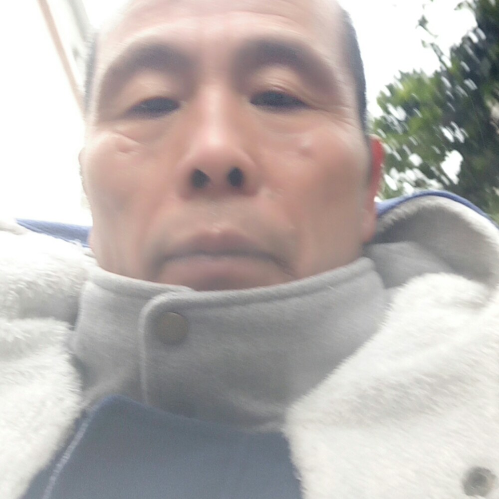 傲娇鸵鸟的照片