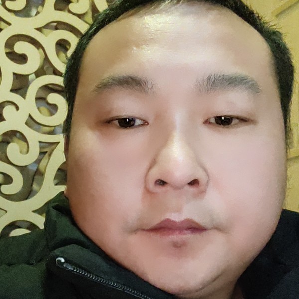 直率还白猫的照片
