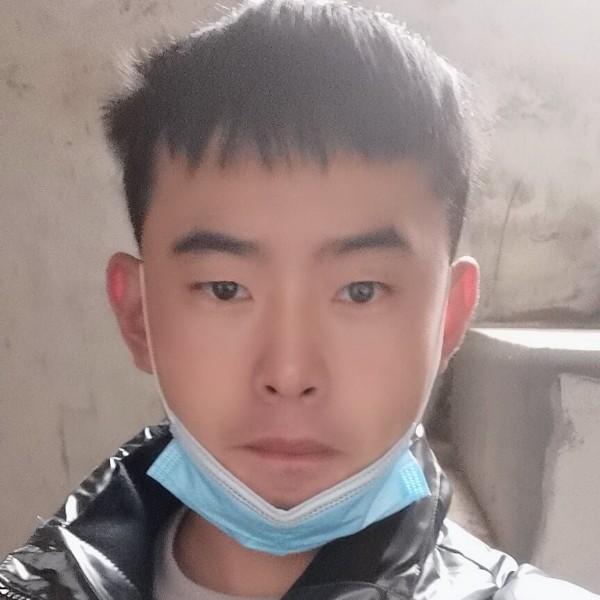 机灵請斑马的照片