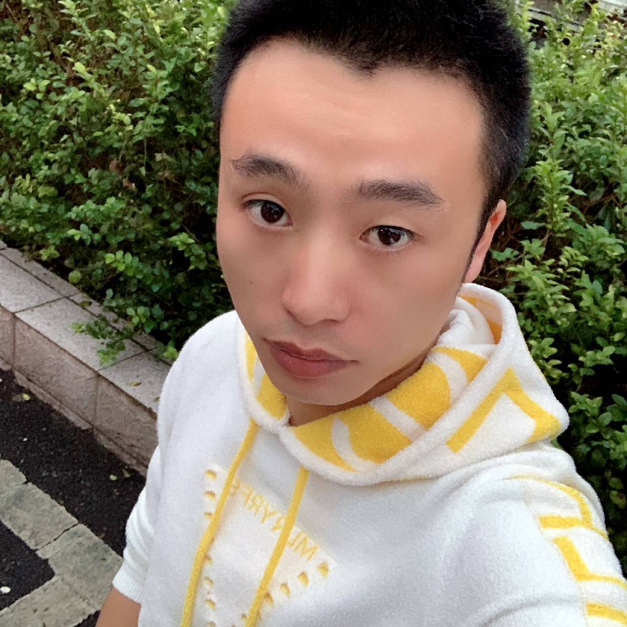 的照片