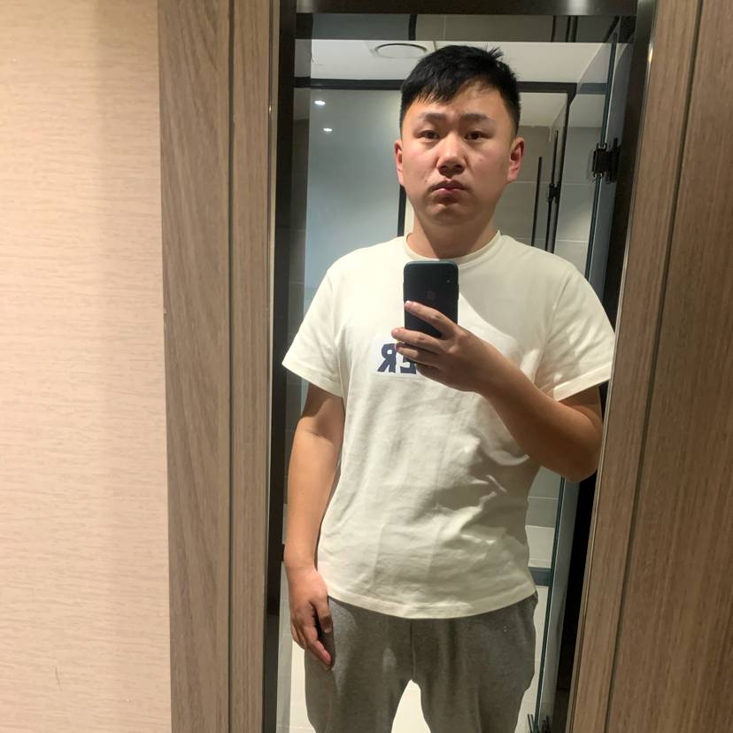 树叶泪了壮观的照片
