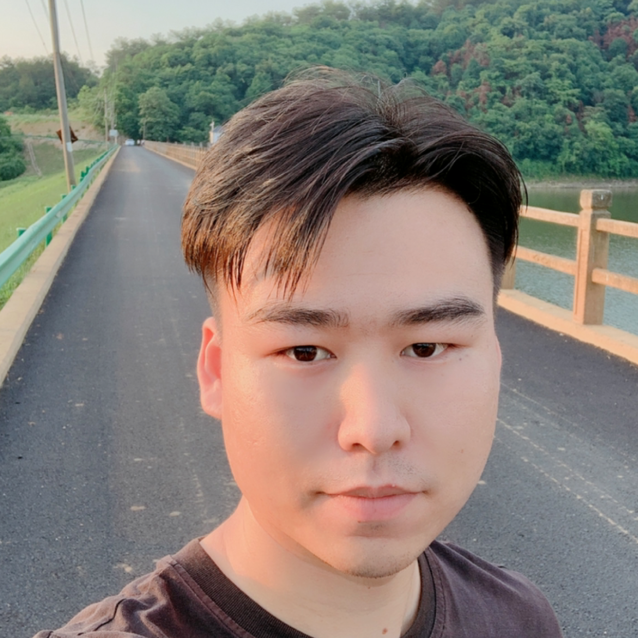 荔枝有魅力的照片