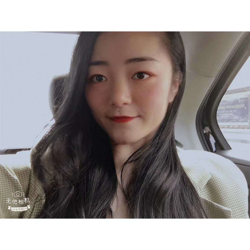 马儿的照片