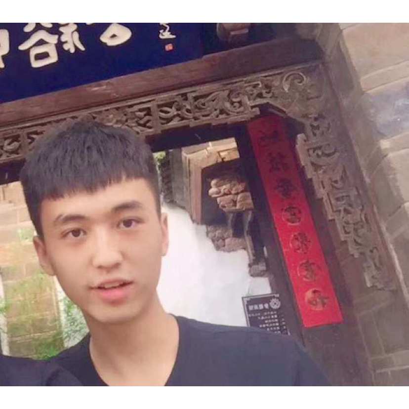 一夕轻雷落万丝的照片