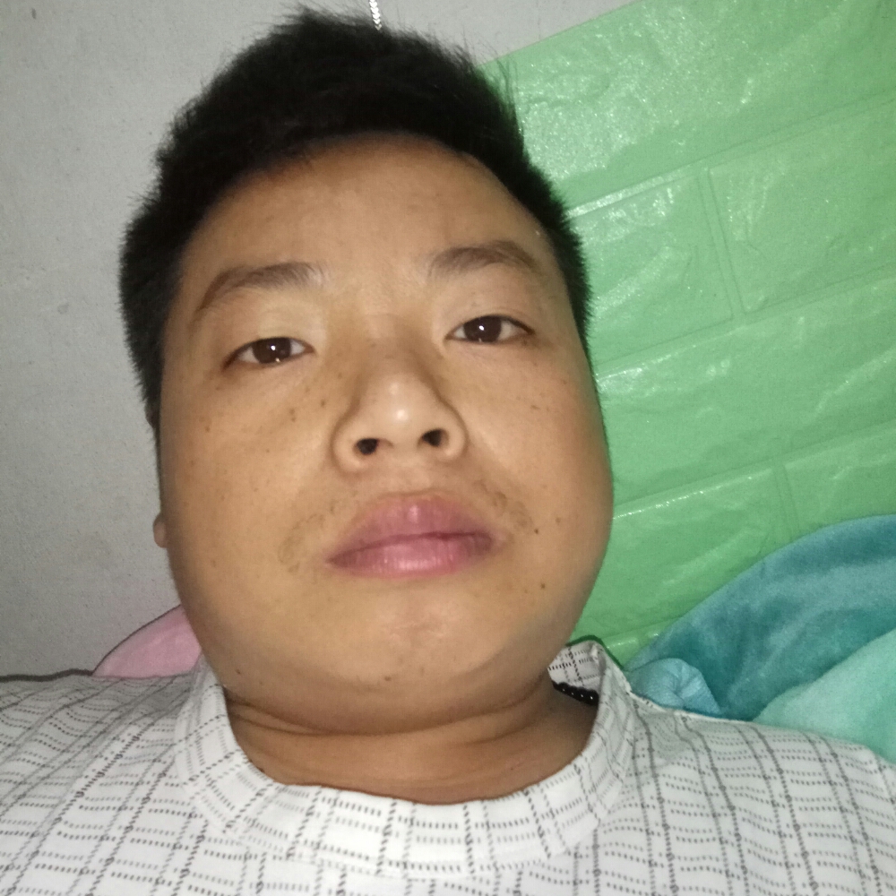 暖和的阳光的照片