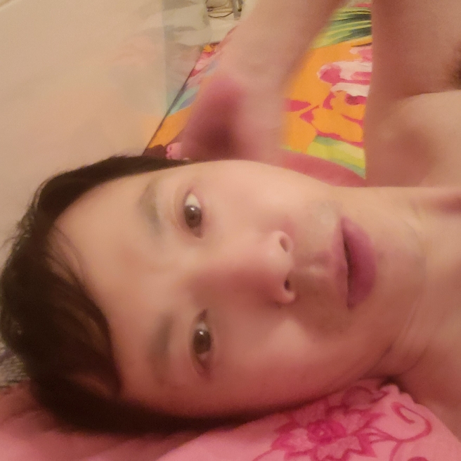 风在阳光中的照片
