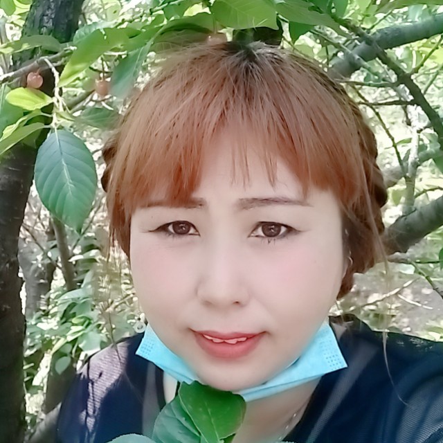 月辞的照片