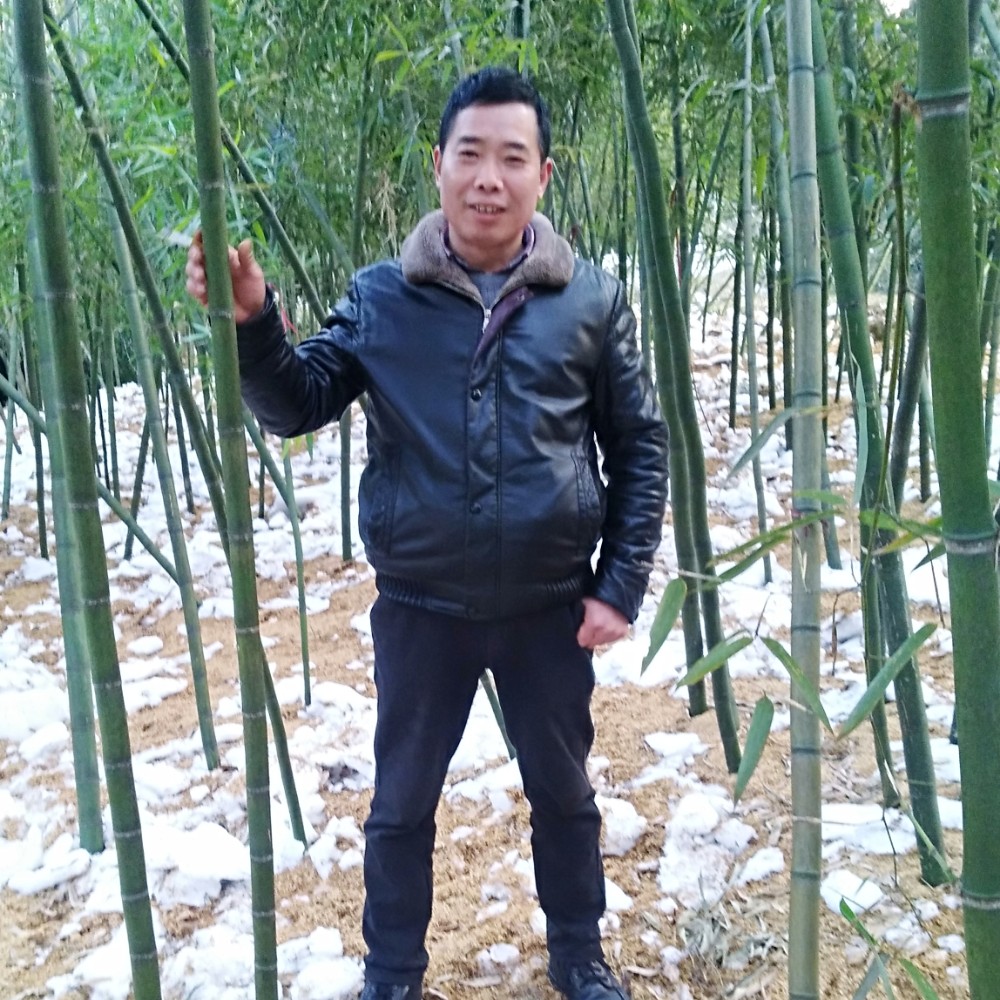 会员298689370的照片