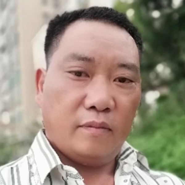 深情停止泥猴桃的照片