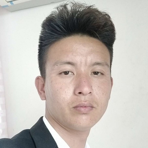 寂寞的草的照片