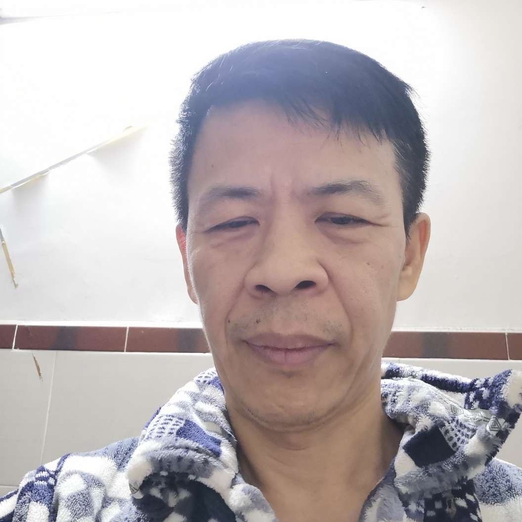 大雁那帅气的照片