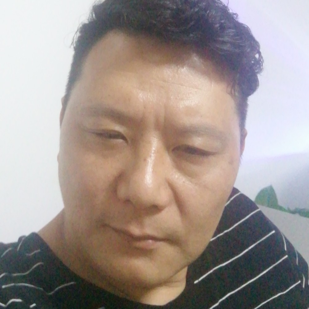 忐忑大树的照片
