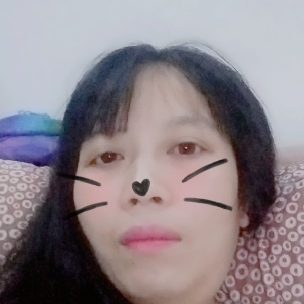 兔兔丟了的照片