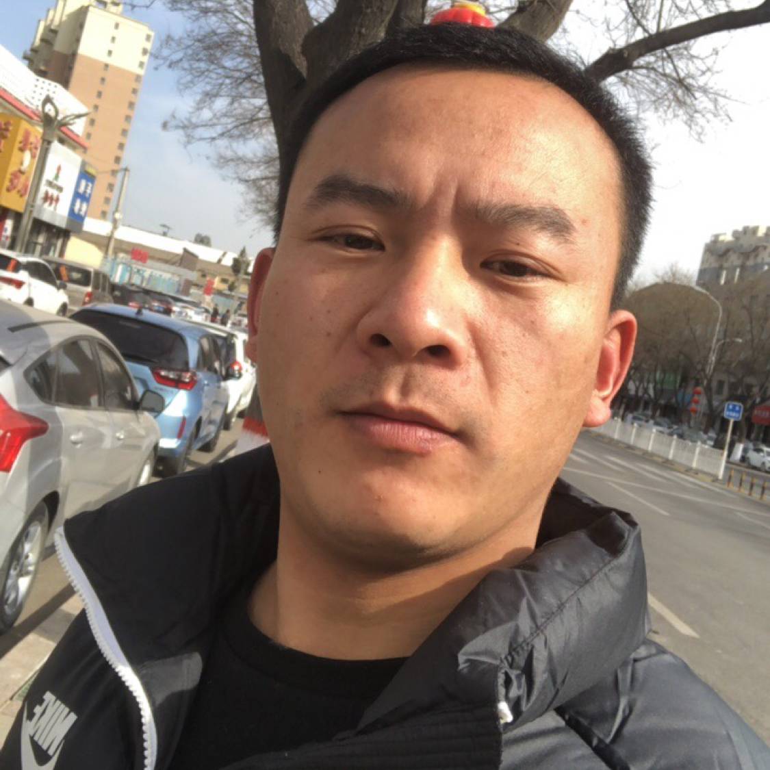 小蜜蜂野性的照片