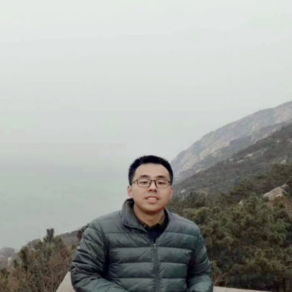 小蜜蜂漫步无语的照片