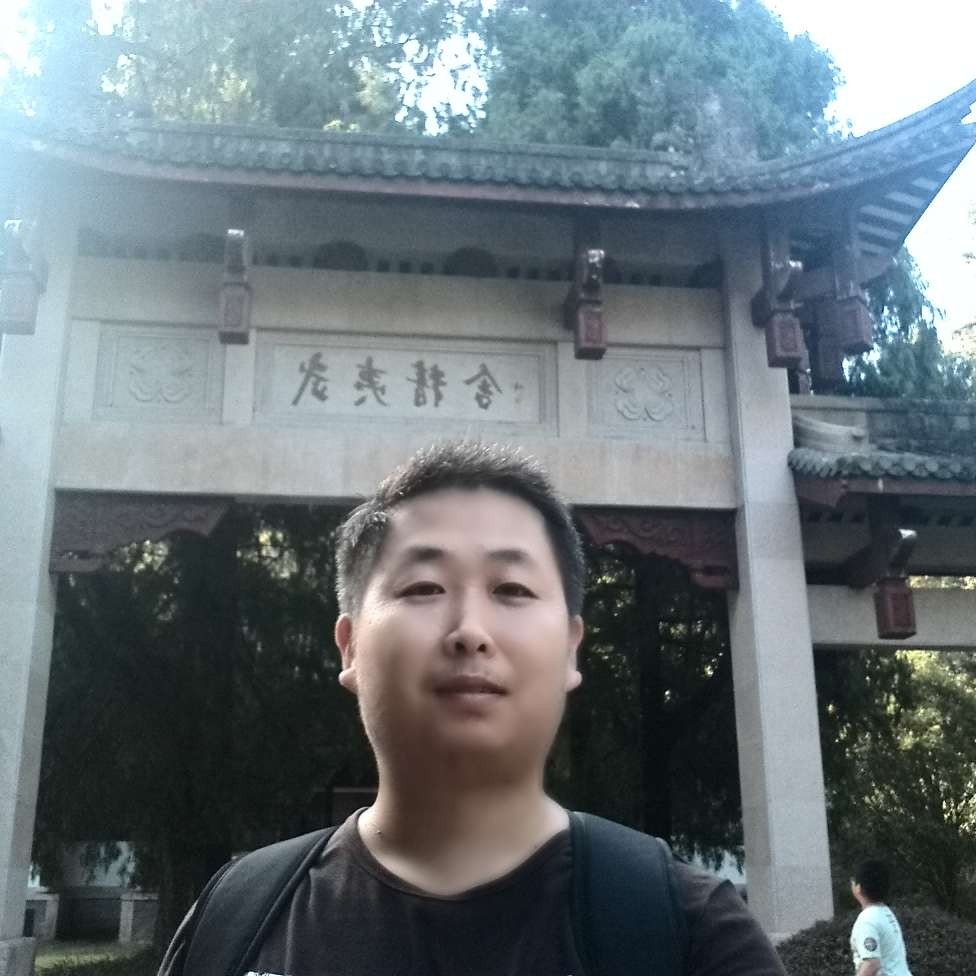 优雅的小骆驼的照片