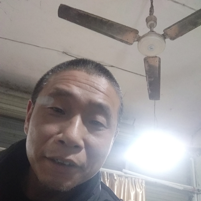 一生都是爱的照片