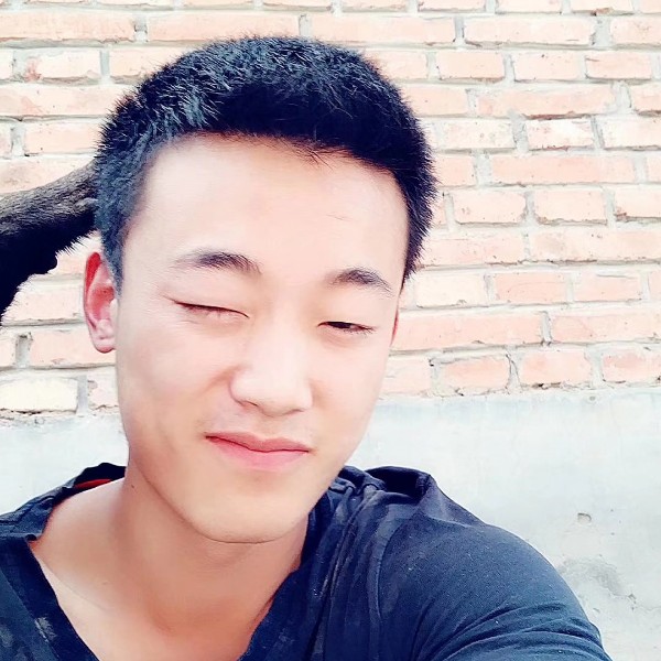 典雅醉梦的照片