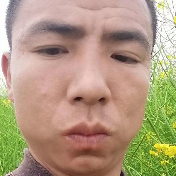 魔幻苦恋崖悔的照片