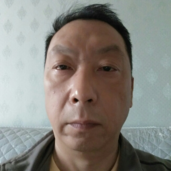 勤恳倾心黑猫的照片