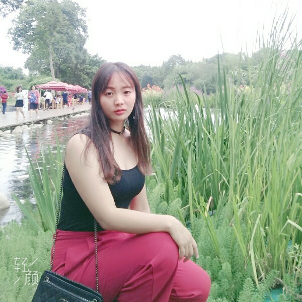 篮球爱恋自由的照片