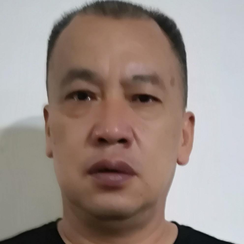 单薄拾忆仙人掌的照片