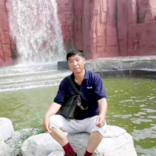 谁迎白猫的照片
