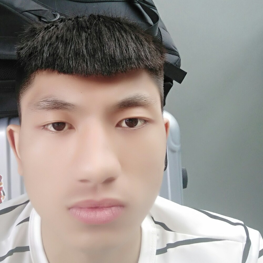 树叶给沉默的照片