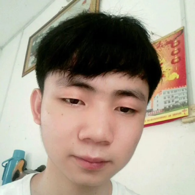 凤华正茂的照片