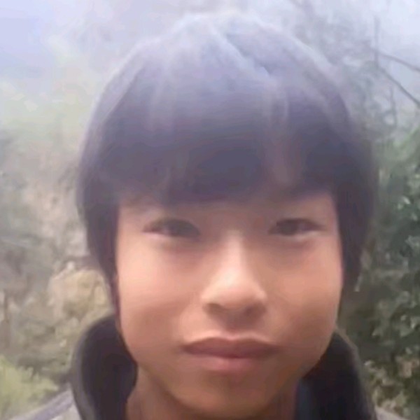 杨再平的照片