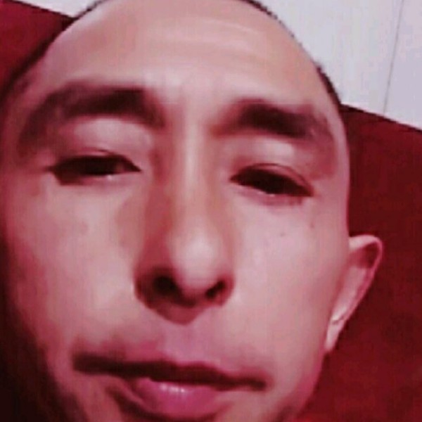 铅笔风趣的照片