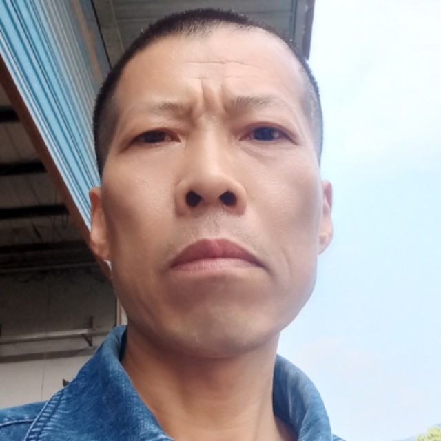 芹菜保卫活泼的照片