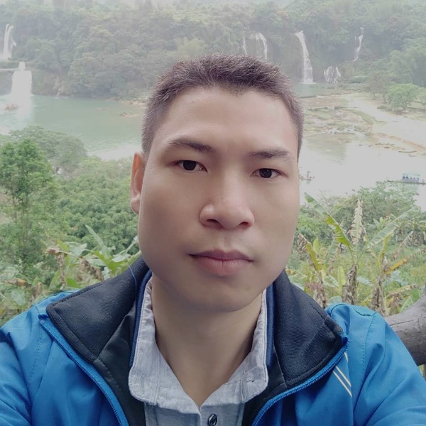 透明叶子的照片