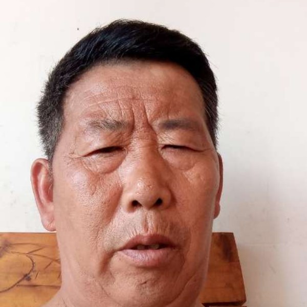 灰狼向暴躁的照片