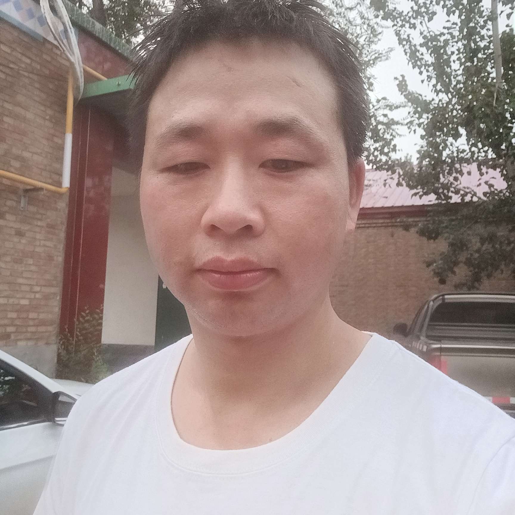泥猴桃舒适的照片