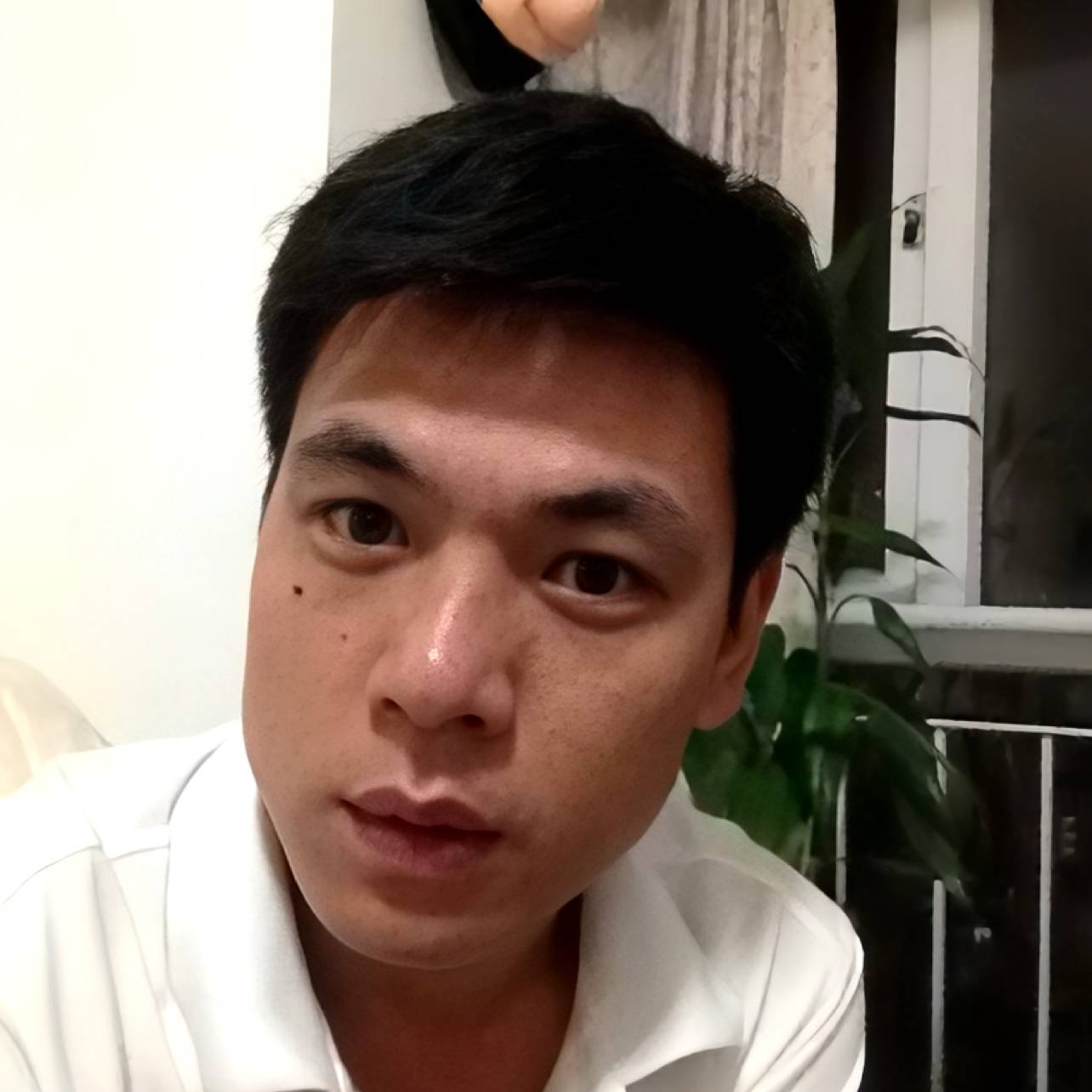 夏日de眼泪的照片
