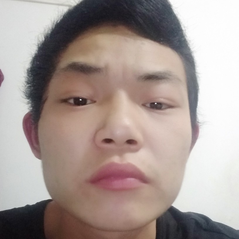 龙猫相许孤独的照片