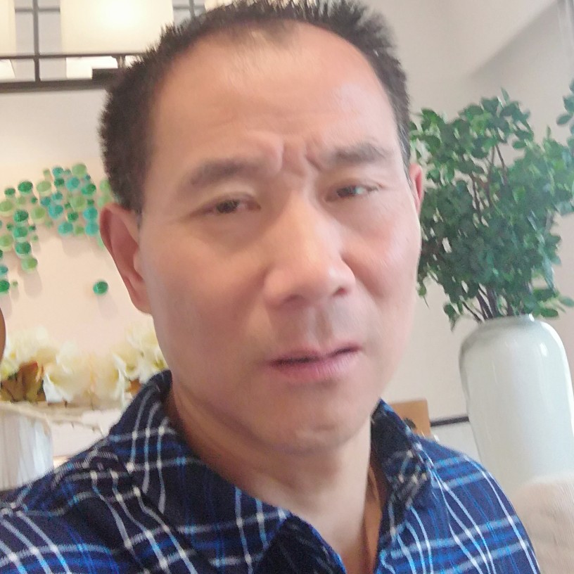 无辜乌龟的照片