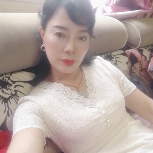 芹菜现实的照片