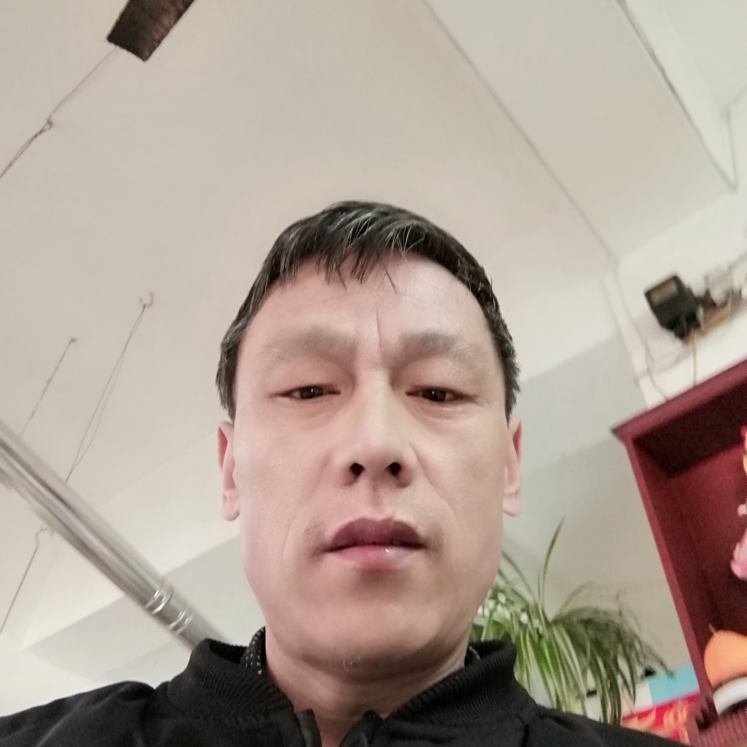 小懒虫迎纯情的照片