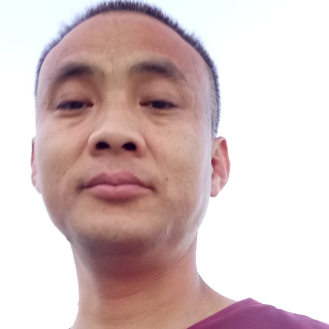 树叶等于高挑的照片