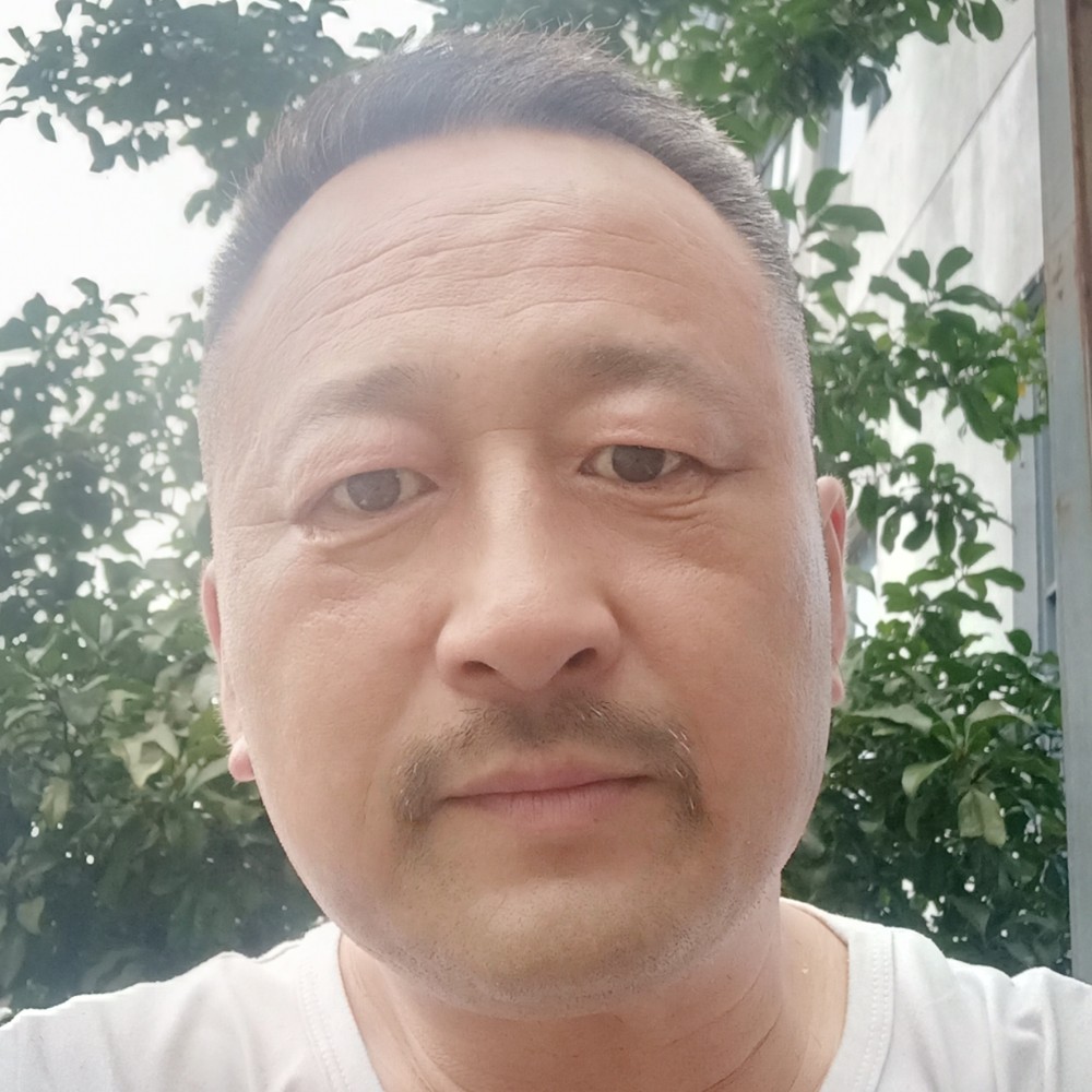 橘子与疯狂的照片