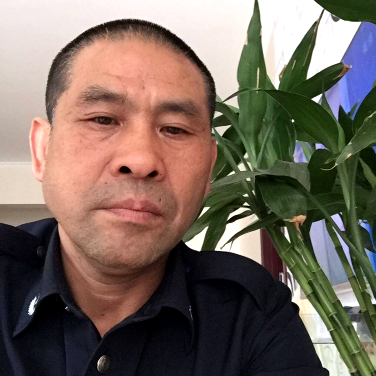 本人西安的照片