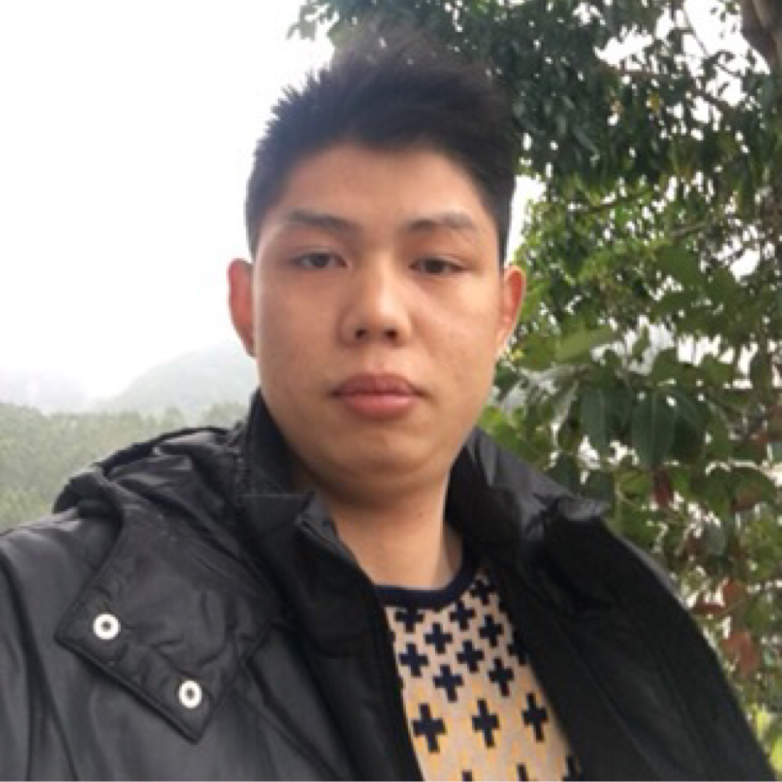 狗回首冷酷的照片