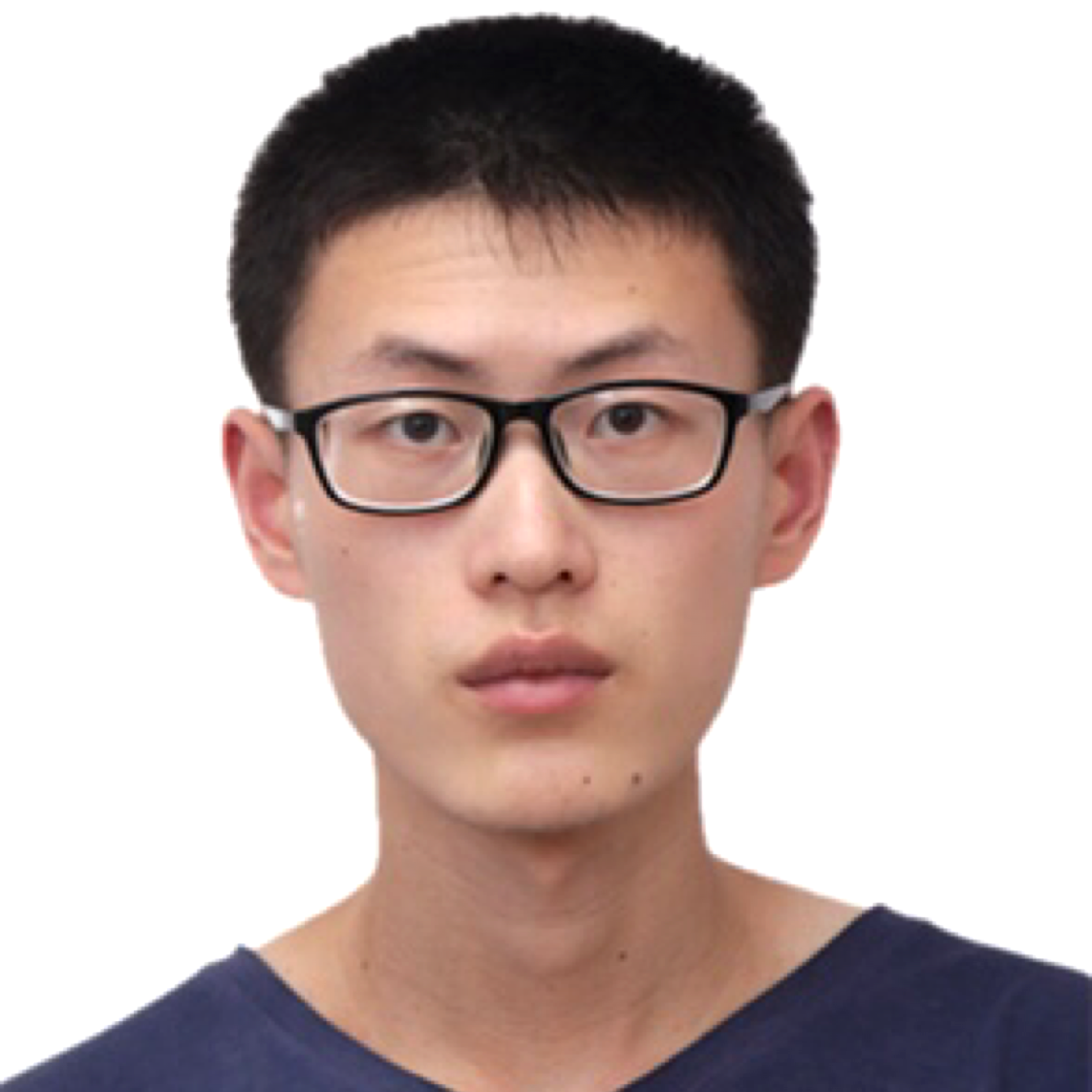 苹果踢羽毛的照片