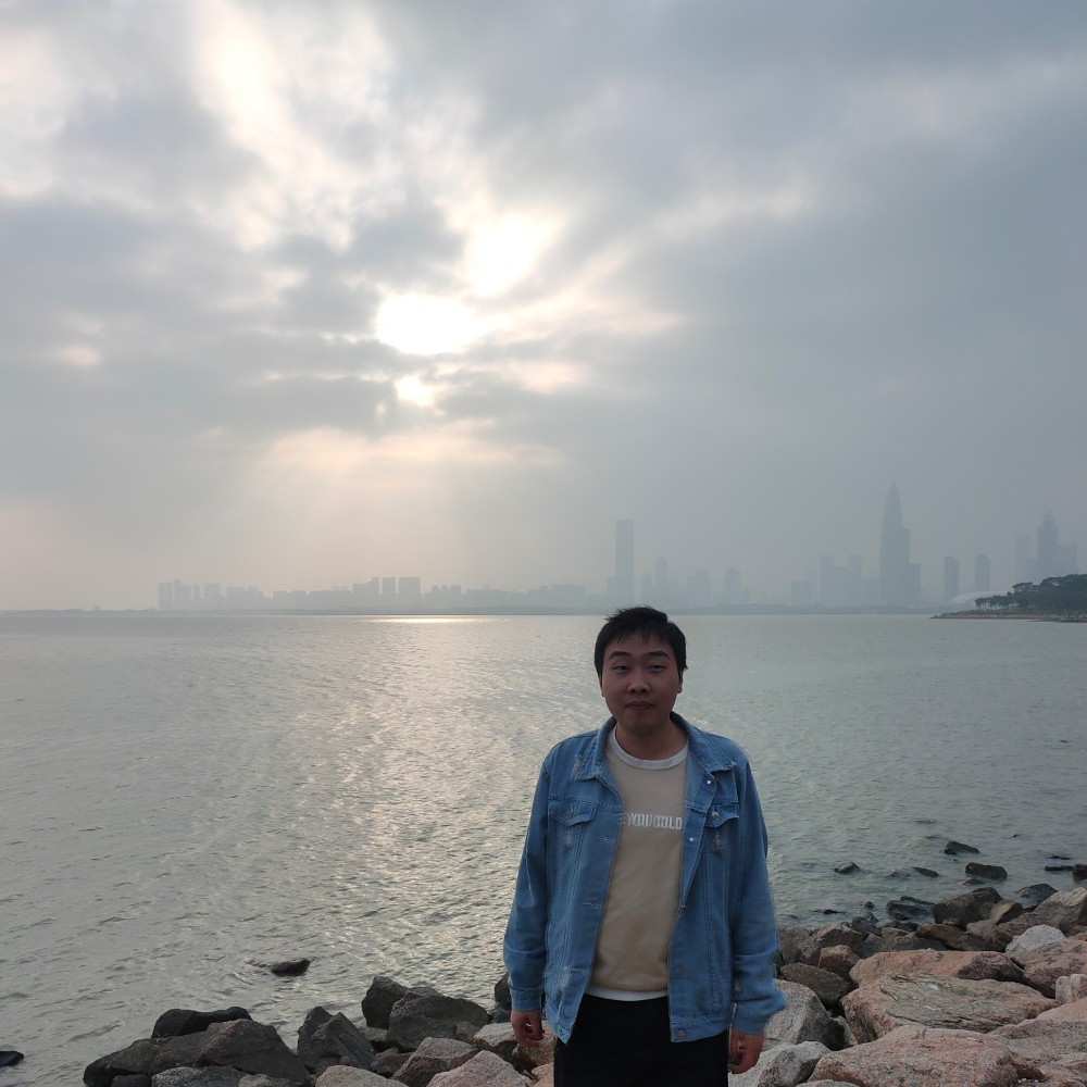 我心向阳01的照片