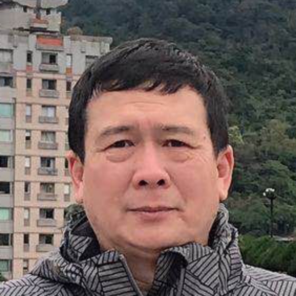 小天鹅漫步痴情的照片