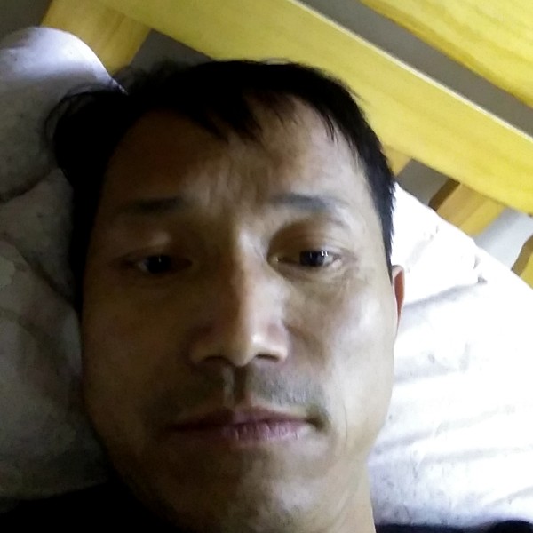 金鱼顺心的照片